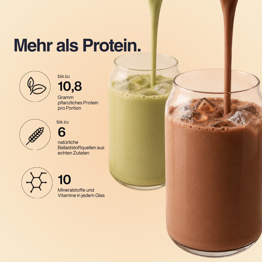 Fiber Protein Probierpaket